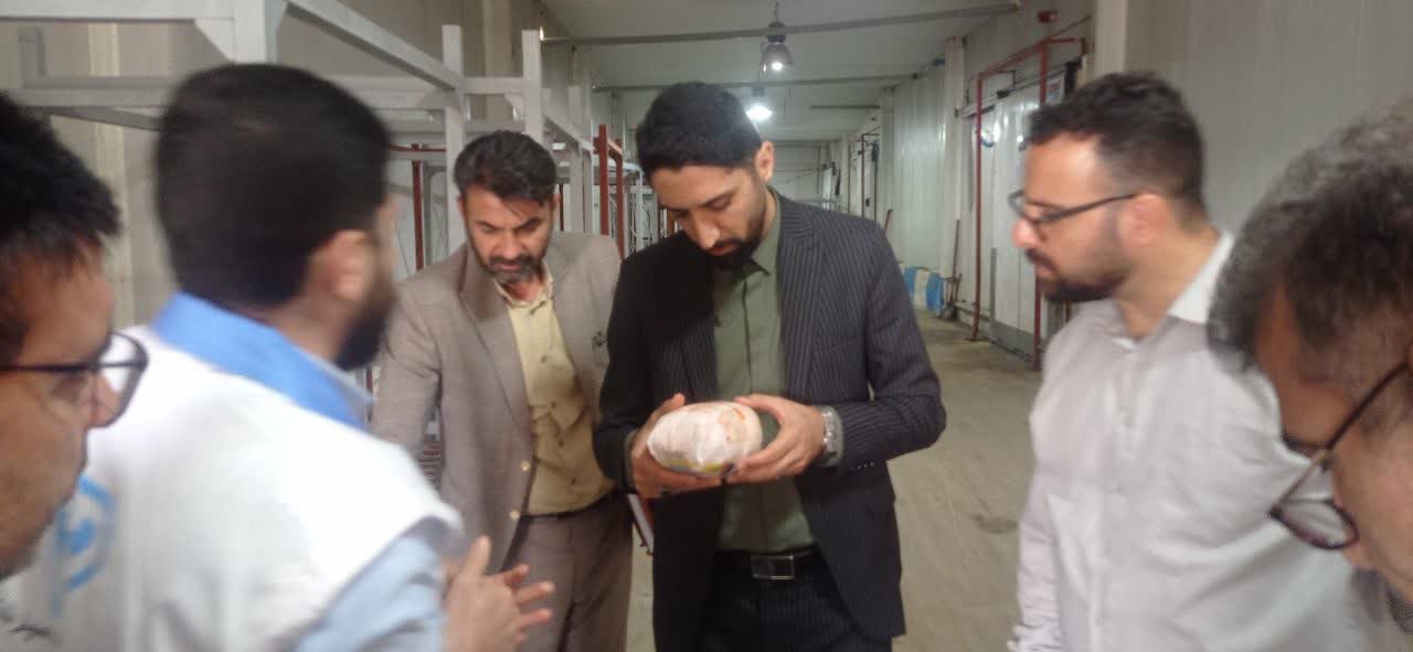 کشف ۲۰۰ تن مرغ تاریخ‌گذشته در کردکوی